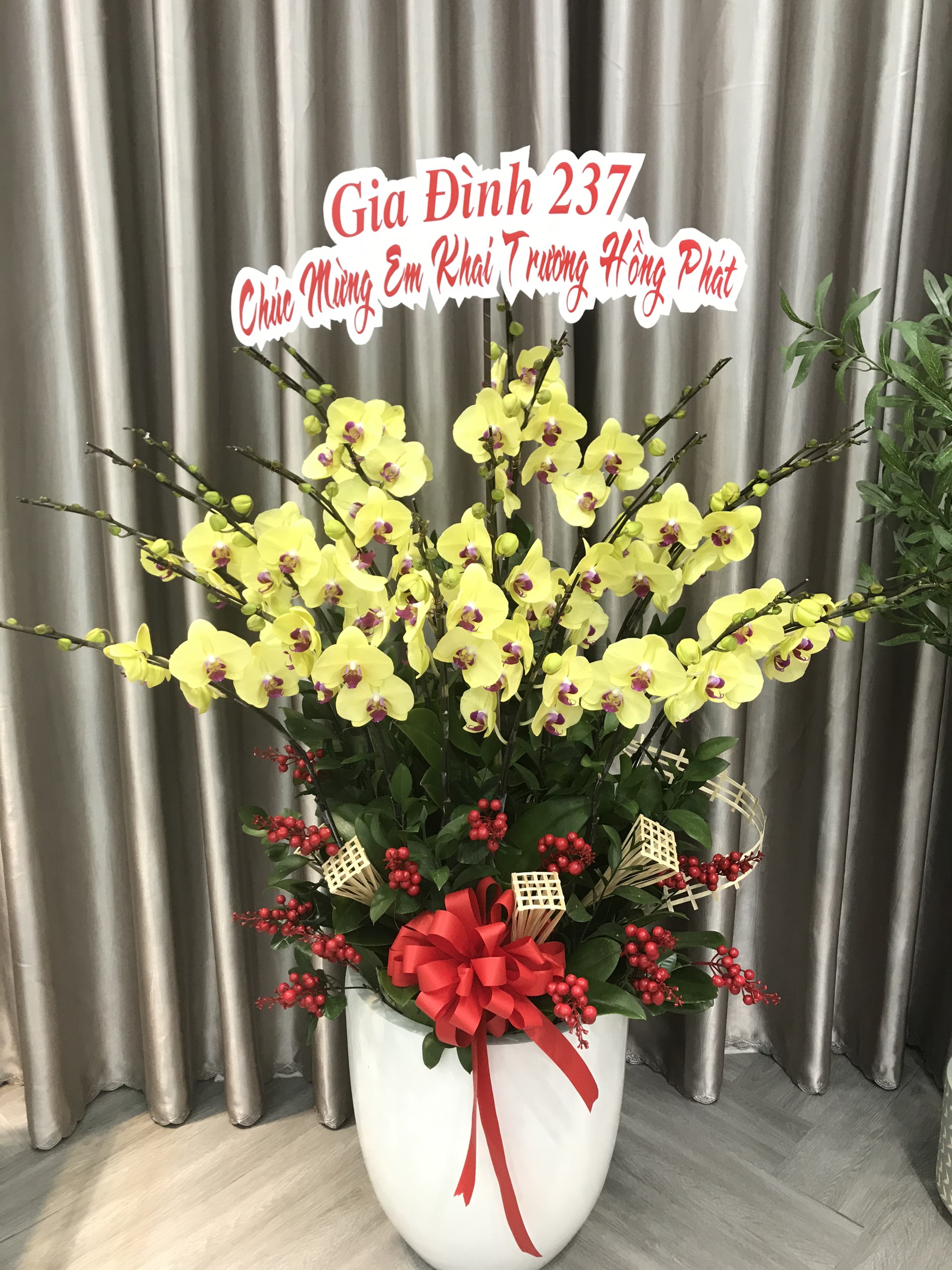 Hoa Lan Khai Trương 00105